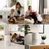 Levoit Core 300S lifestyle montage across living room and bedroom