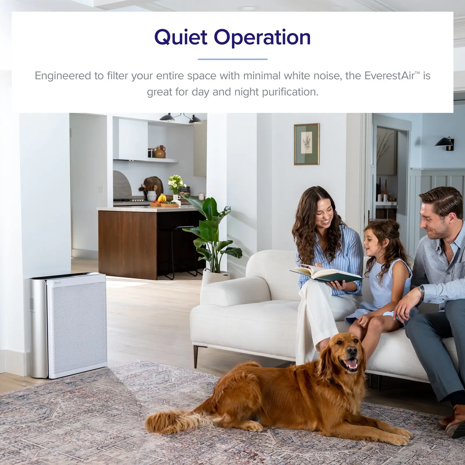 Levoit air purifier EverestAir Lebanon