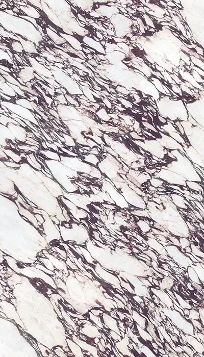 Calacatta Viola porcelain slab