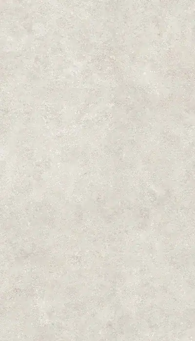 Fossil porcelain slab