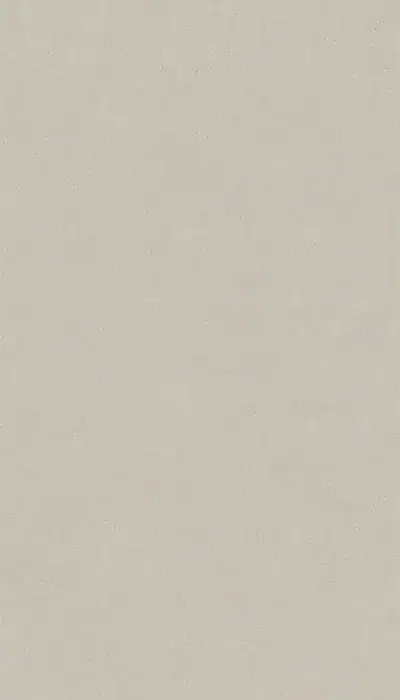 Plaster Snow porcelain slab