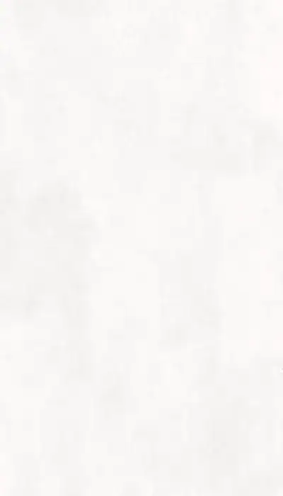 Total White porcelain slab