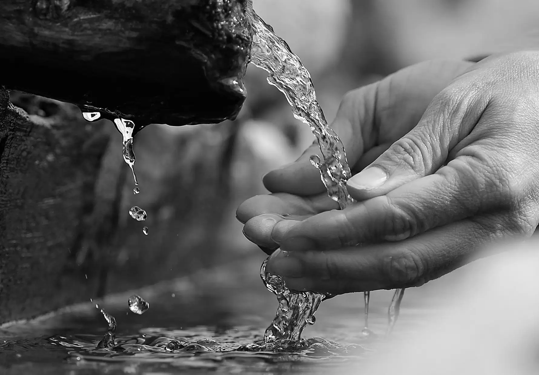 Hands cupping fresh water, the Valcucine symbol of wellbeing
