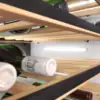 Miele Kwt 2612 Vi Interior.webp