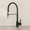 Evhoc Tahlia Kitchen Faucet Black